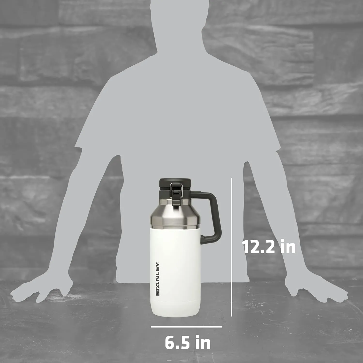 Stanley GO Growler 64 oz | Keeps Beer Cold or Coffee Hot | Leakproof Steel Lined Lid and Easy to Carry Handle | Insulated Stainless Steel Beverage Container | BPA-Free | Polar