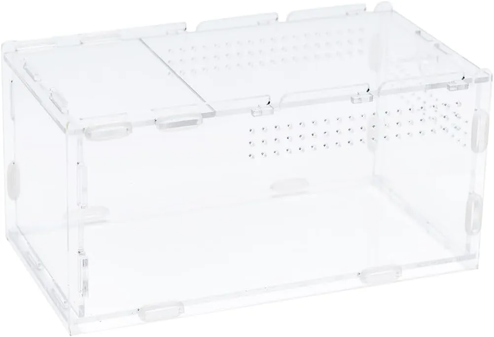 Transparent Acrylic Jumping Spider Enclosure, Tarantula & Snail Terrarium, Praying Mantis Habitat, Insect & Small Reptile Terrarium