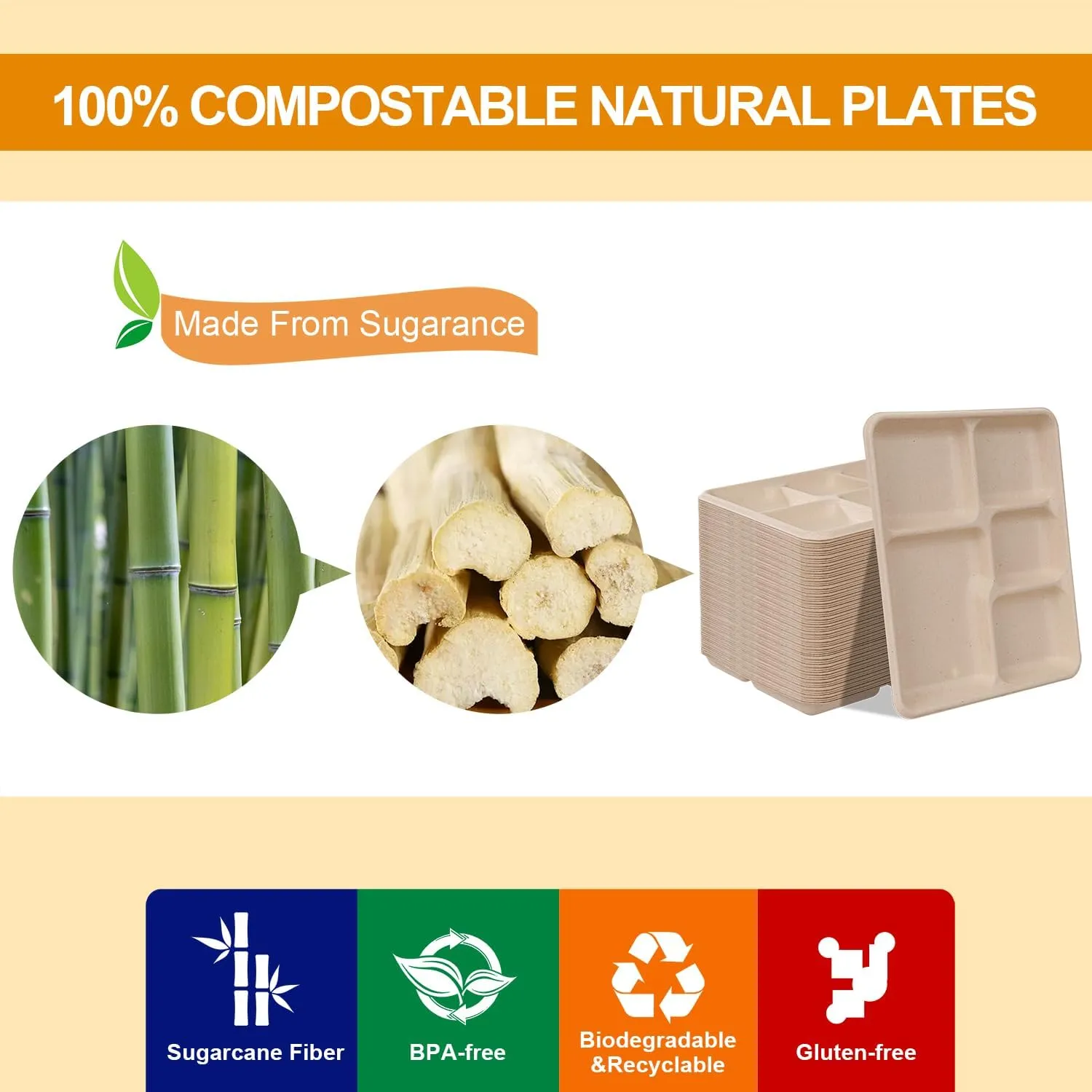 WELLIFE 100% Compostable 5 Compartment Paper Plates, 125 Pack Heavy Duty Disposable School Lunch Trays, 10.25 * 8.25 Inch Eco-Friendly Bagasse Plates for Boys, Girls and Youth (BPA Free,Microwaveable)