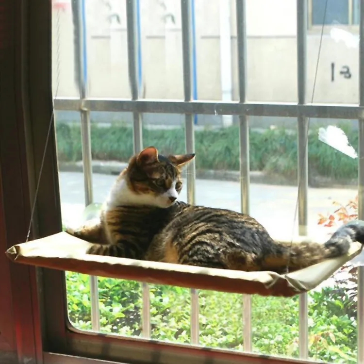 Window Cat Same-day shipping Bed Consistent quality