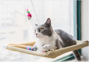 Window Cat Same-day shipping Bed Consistent quality