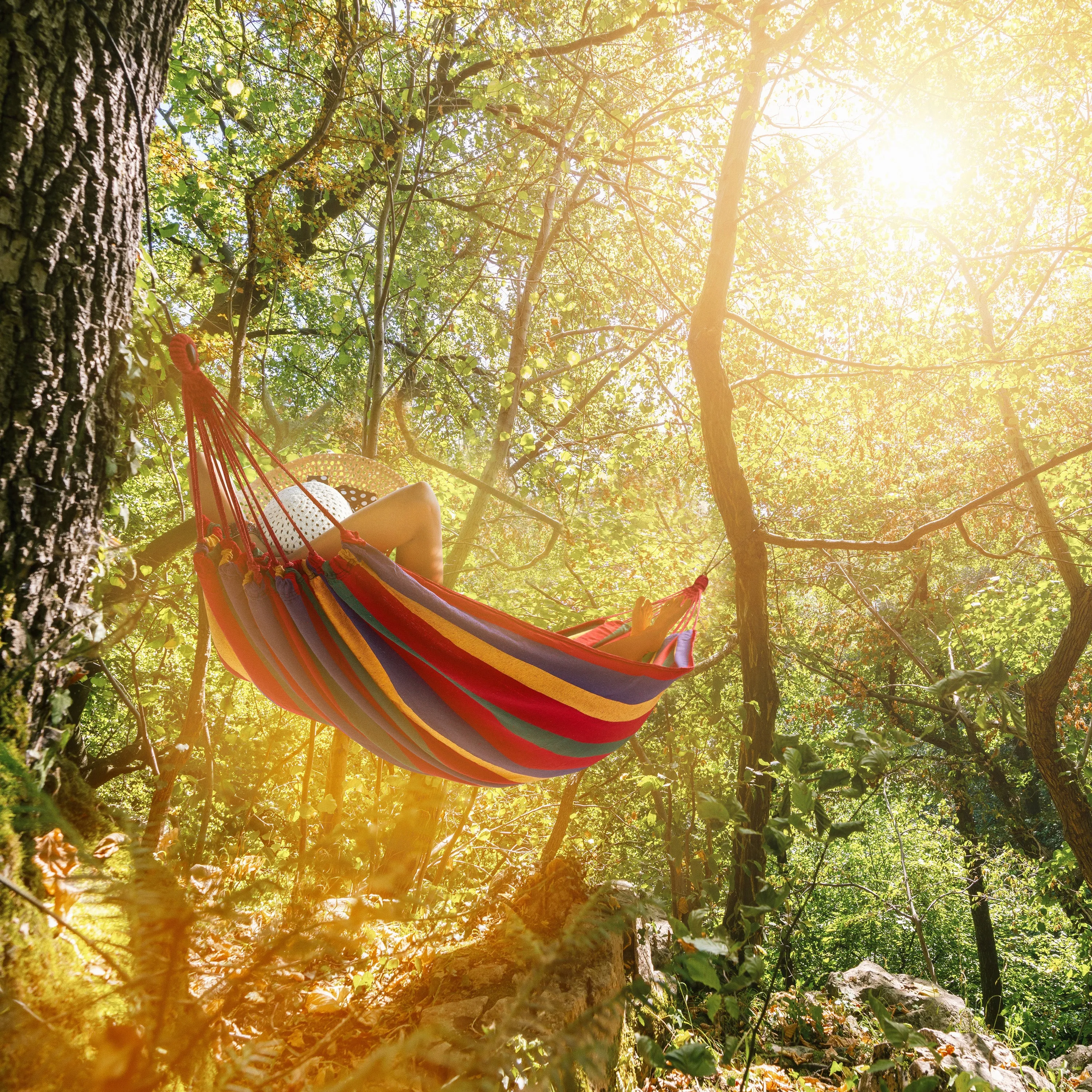 Woven Hammock