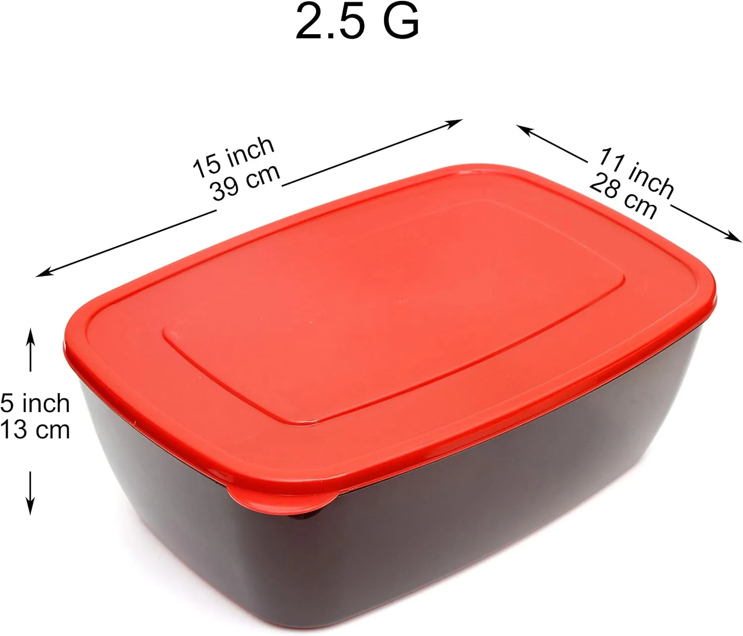 Youngever 2 Pack Extra Large Food Storage Containers (2.5 Gallon 15 inch x 11 inch x 5 inch)